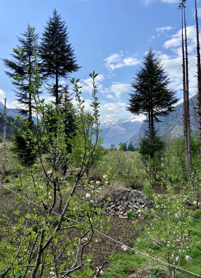 Getaway Stays Manali Kültér fotó